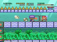 Mario and Wario sur Nintendo Super Nes